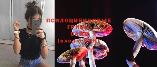 МДМА Богородицк