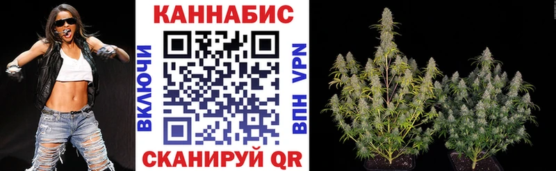 kraken как войти  Самара  Конопля SATIVA & INDICA 